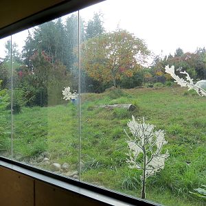 Red Wolf Woods - Exhibit 2 - Viewing Cabin