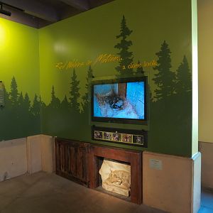 Red Wolf Woods - Exhibit 2 - Viewing Cabin