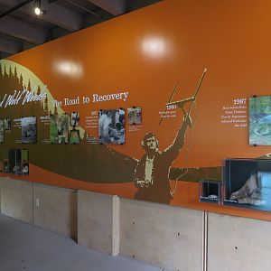 Red Wolf Woods - Exhibit 2 - Viewing Cabin