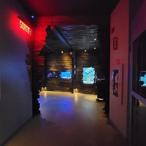 Aquarium du Quebec - Pavillon des profondeurs, into the seahorses room