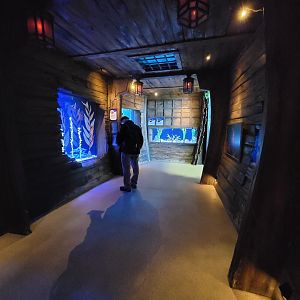 Aquarium du Quebec - Pavillon des profondeurs, Seahorse room