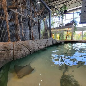 Aquarium du Quebec - Pavillon des profondeurs, Touch Tank