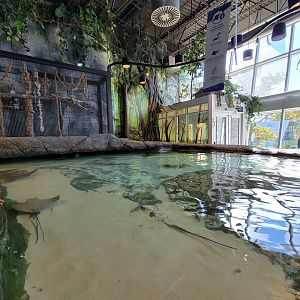 Aquarium du Quebec - Pavillon des profondeurs, Touch Tank