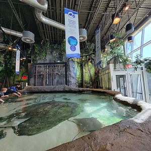 Aquarium du Quebec - Pavillon des profondeurs, Touch Tank