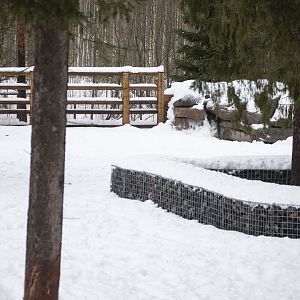 European bison enclosure