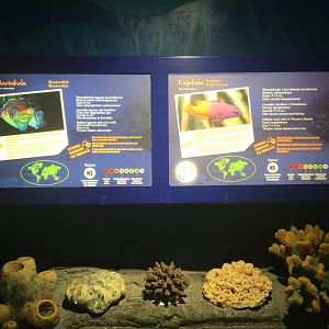 Species info signs