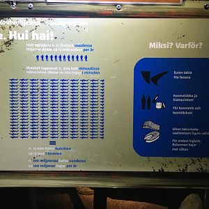 Info sign about shark poaching