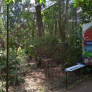 Endangered amazon aviaries