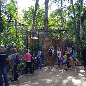 Nocturnal birds aviary