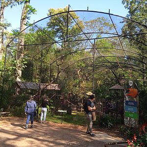 Tucan walk-through aviary