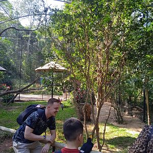 Tucan walk-through aviary