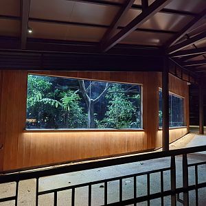 New amphitheater exhibit