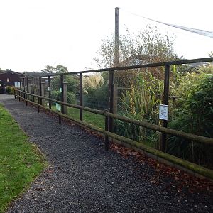 Wetlands Aviary 231022