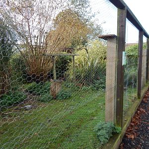 Wetlands Aviary 231022