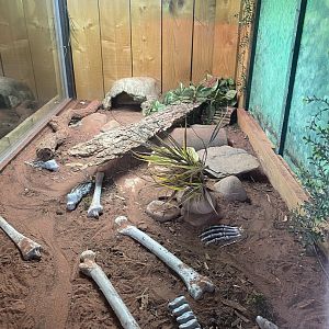 Reptile House - Mexican beaded lizard exhibit 231022