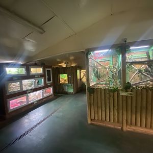 Reptile House 231022