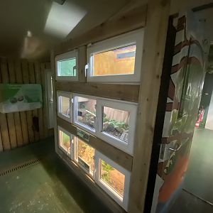 Reptile House 231022