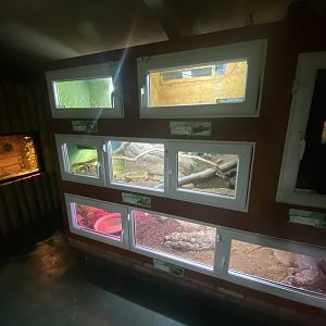 Reptile House 231022
