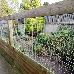Red-breasted goose aviary 231022