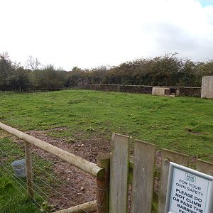Capybara enclosure 231022