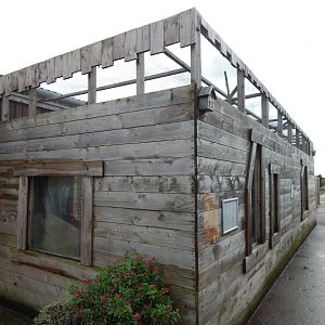 South American coati enclosure 231022