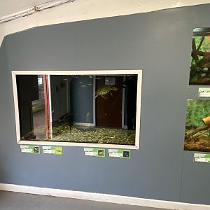 Aquarium exhibits 231022