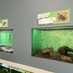 Aquarium exhibits 231022