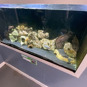 Aquarium exhibit 231022