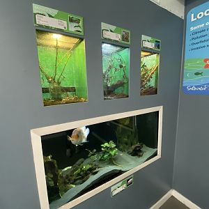 Aquarium exhibits 231022