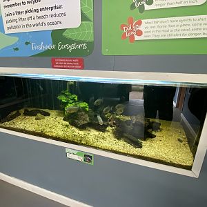 Aquarium exhibit 231022