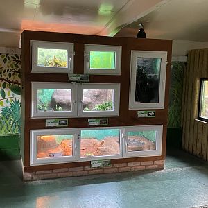 Reptile House 231022