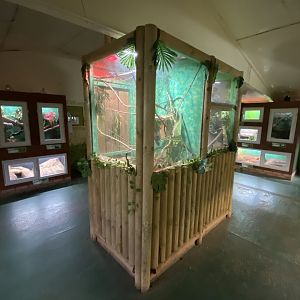 Reptile House 231022