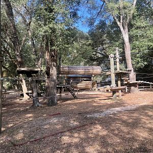 Treetop Rope and Bridge Course