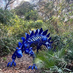 Stegosaurus