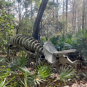 Triceratops (every kids favorite dinosaur)