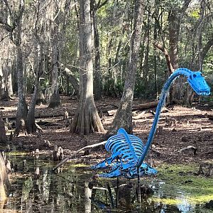 Beast of the Bayou…Plesiosaur
