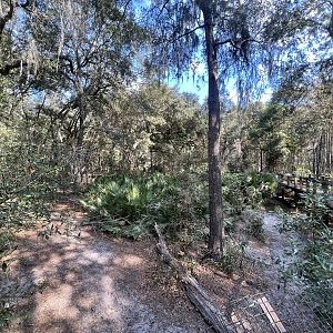 Skunk and Fox Exhibit (No Shows)