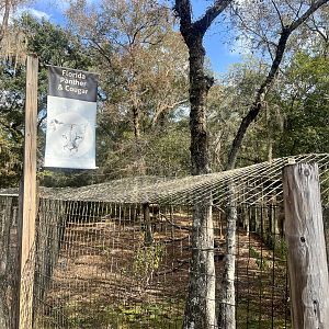 Florida Panther / Cougar Exhibits