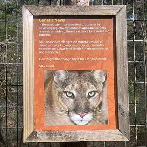 I’m a lumper anyway