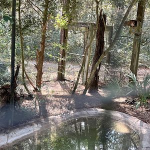 Owl and Box Turtle Exhibit