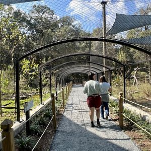 Visitors at the Raptor Enclosures
