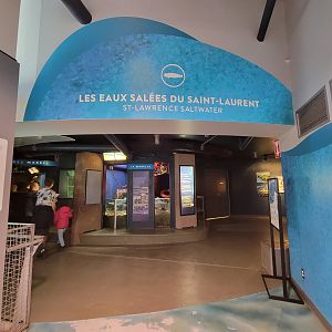 Aquarium du Quebec - Pavillon des eaux douces et salées, 2nd floor, St Lawrence Saltwater