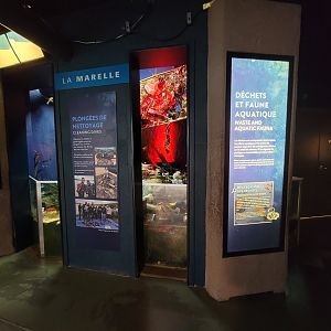 Aquarium du Quebec - Pavillon des eaux douces et salées, 2nd floor, diving for waste