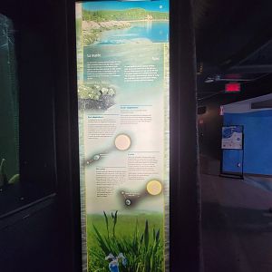 Aquarium du Quebec - Pavillon des eaux douces et salées, 2nd floor, example of habitat signage