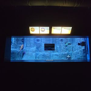Aquarium du Quebec - Pavillon des eaux douces et salées, 2nd floor, Ocean Trenches