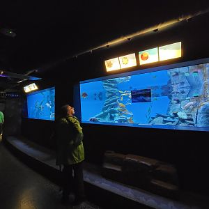 Aquarium du Quebec - Pavillon des eaux douces et salées, 2nd floor, Ocean Trenches