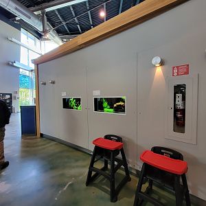 Aquarium du Quebec - Pavillon des eaux douces et salées, Two small tanks next to restaurant