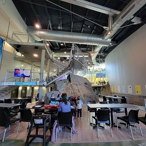 Aquarium du Quebec - Pavillon des eaux douces et salées, main eating area / stairs from Bistro entrance