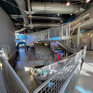 Aquarium du Quebec - Pavillon des eaux douces et salées, Looking at first floor from second floor seating area
