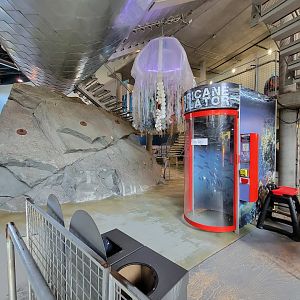 Aquarium du Quebec - Pavillon des eaux douces et salées, Decorations, rock climbing